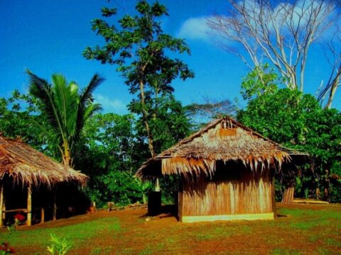 budaya Mikronesia daerah Palikir