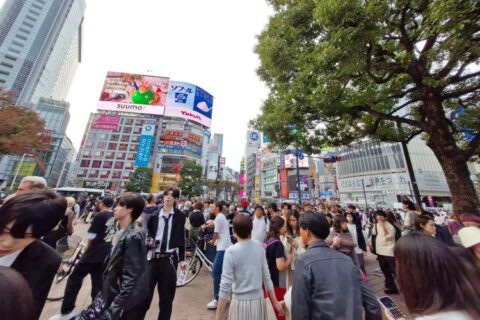 daftar TKI Jepang