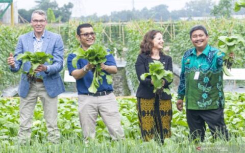 Berapa gaji buruh petani di Belanda