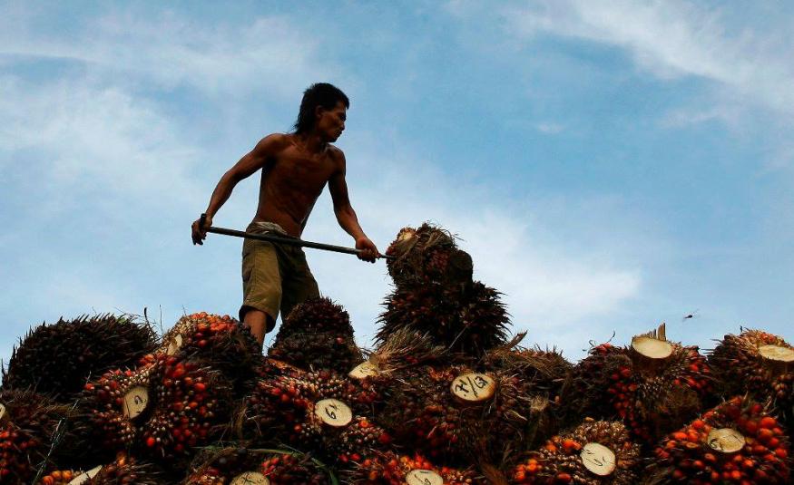 Gaji perkebunan di Malaysia