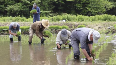 gaji petani di Jepang