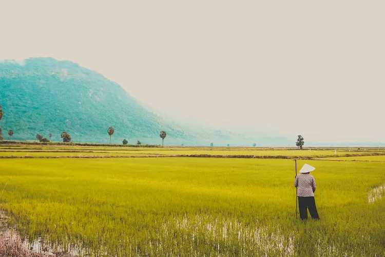 gaji tukang kebun di Brunei