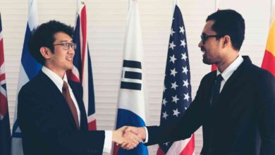 Karier Internasional