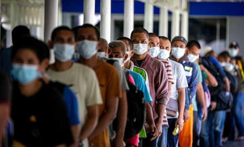 pekerja migran