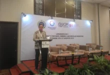 Hukum Kerja di Luar Negeri 2026: Panduan Legal & Aman PMI