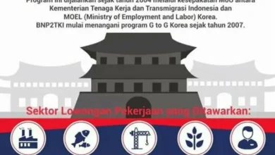 Program Pemerintah Kerja di Luar Negeri 2026: Jalur Resmi
