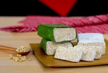 Cara Membuat Tempe Homemade di Luar Negeri: Panduan 2026