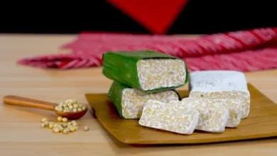 Cara Membuat Tempe Homemade di Luar Negeri: Panduan 2026